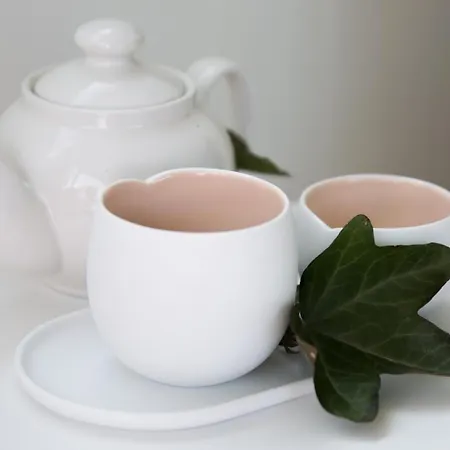 Thuizinouddorp Parel No 30 & Oester No 29 Verkoeling Aan Zee * Ouddorp